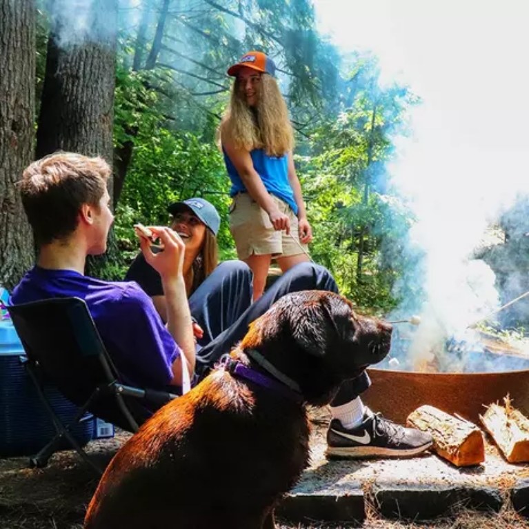 Group of happy young adults and dog at campsite