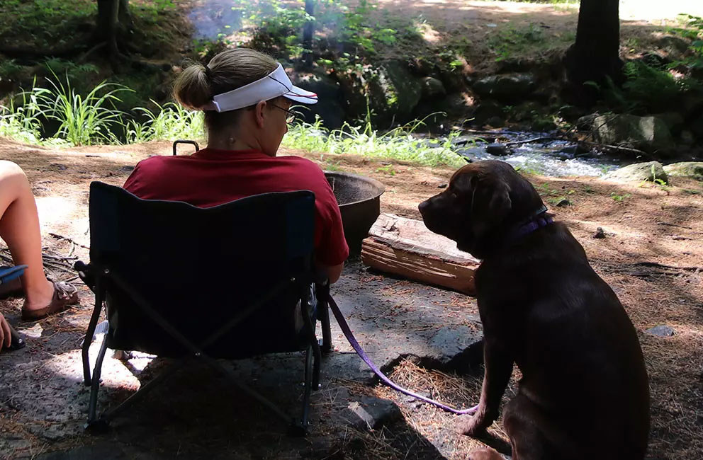 Campers relaxing at site with their dog