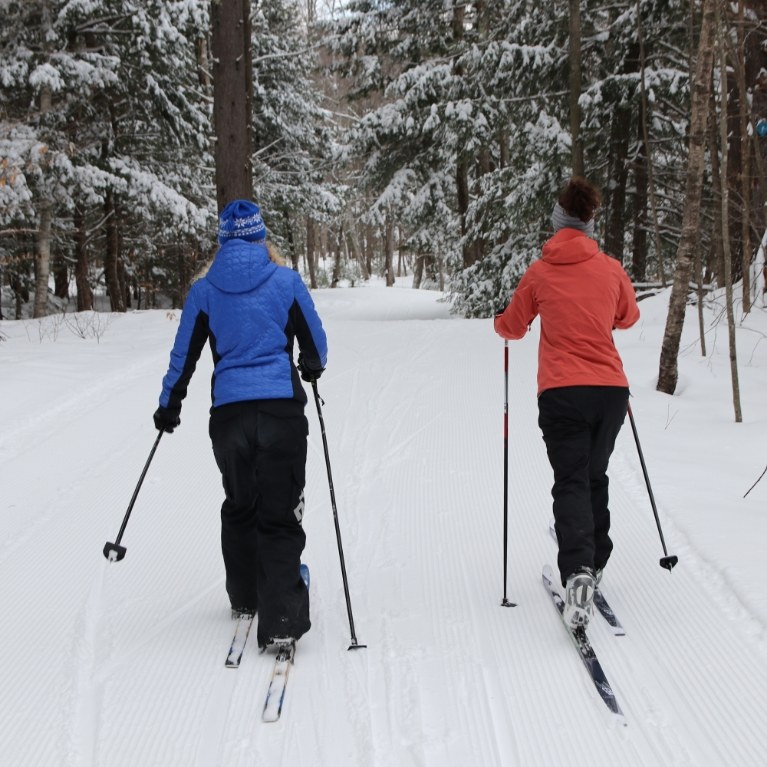 Two cross county skiers on a trail in the woods