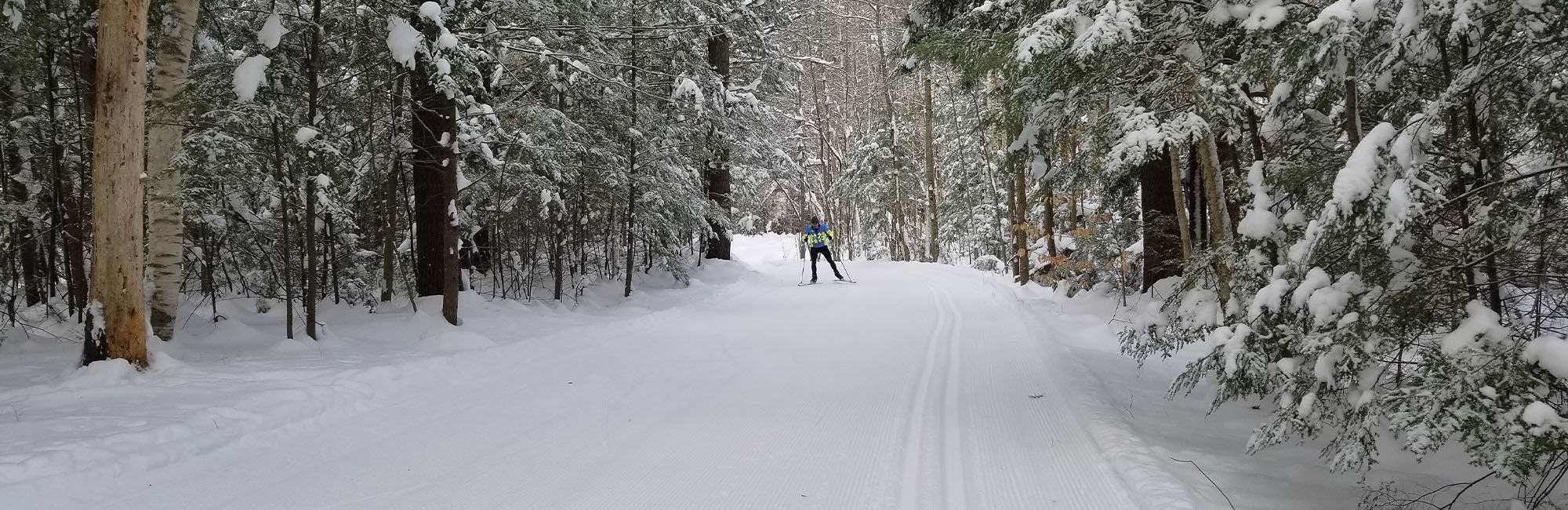 Man skate skiing on groomed cross country trail.