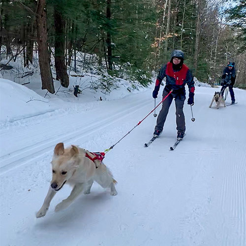 Skijoring with 2 people